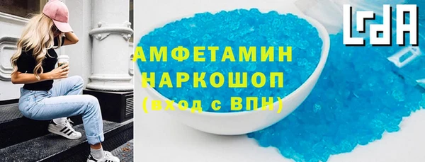 сатива Ростов