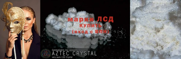сатива Ростов