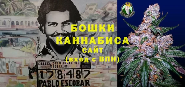 сатива Ростов