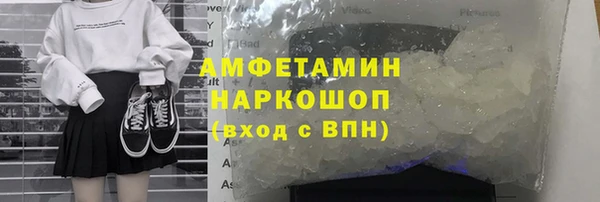 сатива Ростов