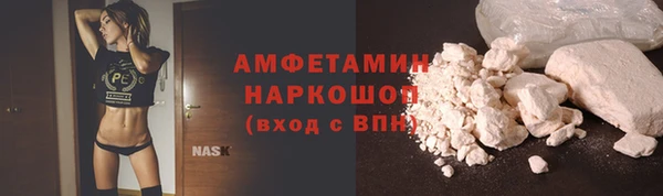 сатива Ростов