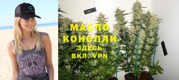 сатива Ростов