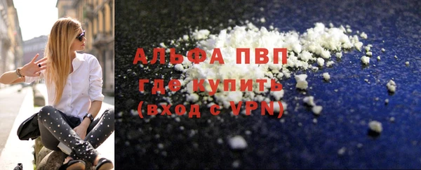 сатива Ростов