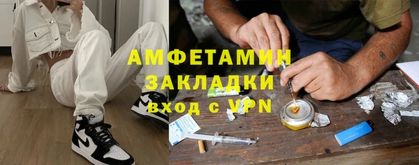 сатива Ростов
