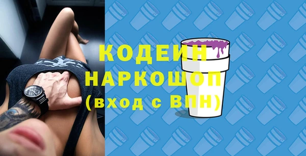 сатива Ростов